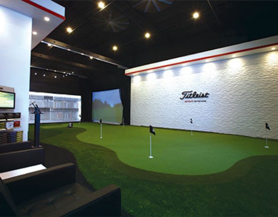 Multi-use media room with indoor putting green in a DFW Metroplex home