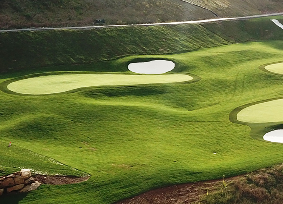 Backyard putting green in Keller, TX residential community
