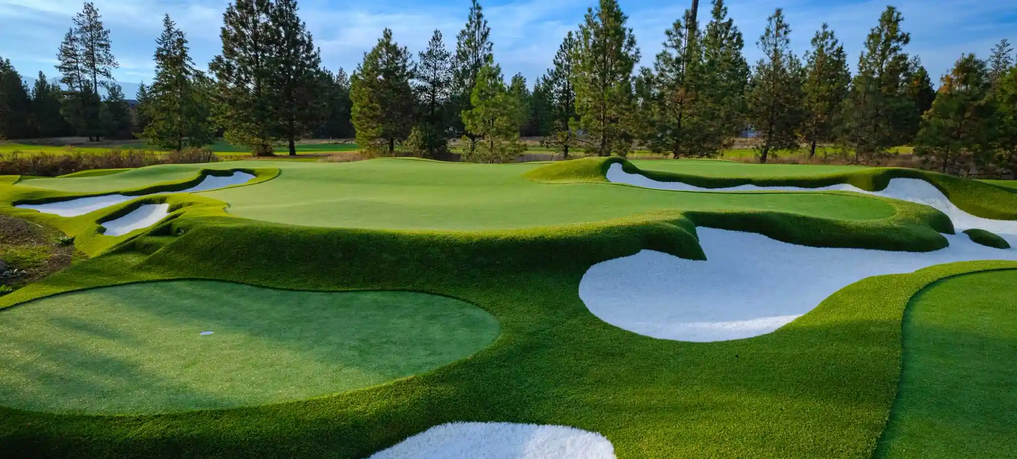 DFW luxury estate with a par 3 golf hole as the centerpiece amenity